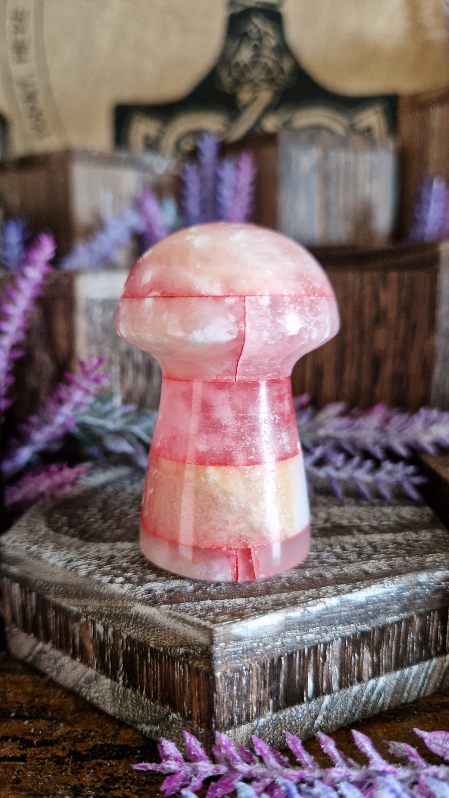 Red Onix Mushroom