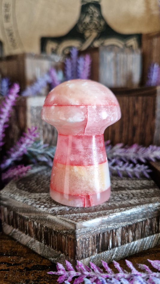 Red Onix Mushroom
