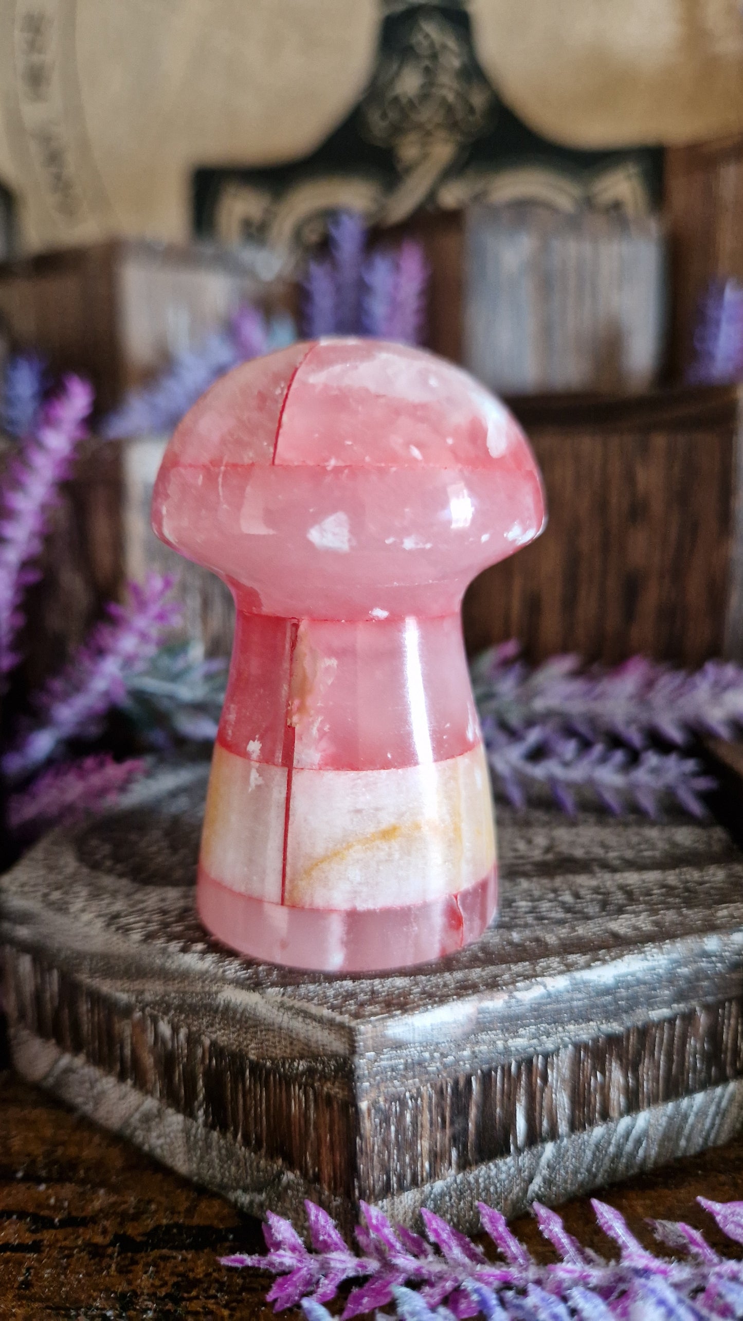 Red Onix Mushroom