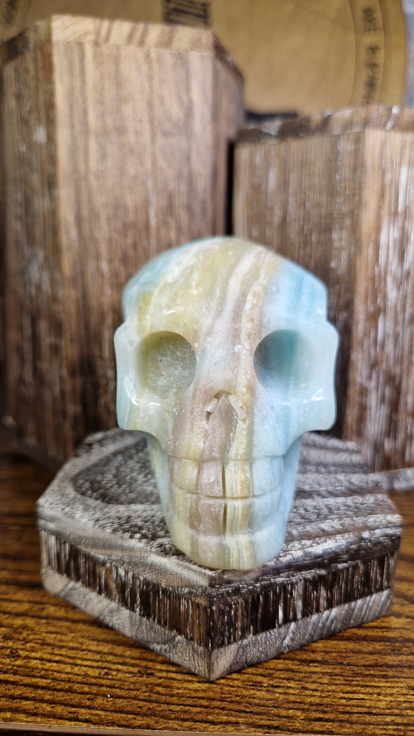 Caribbean Calcite Skull - 6