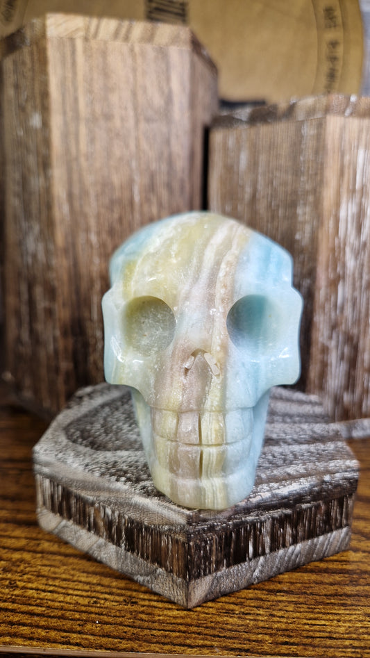 Caribbean Calcite Skull - 6