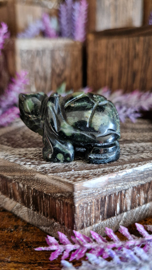Kambaba Jasper Turtle