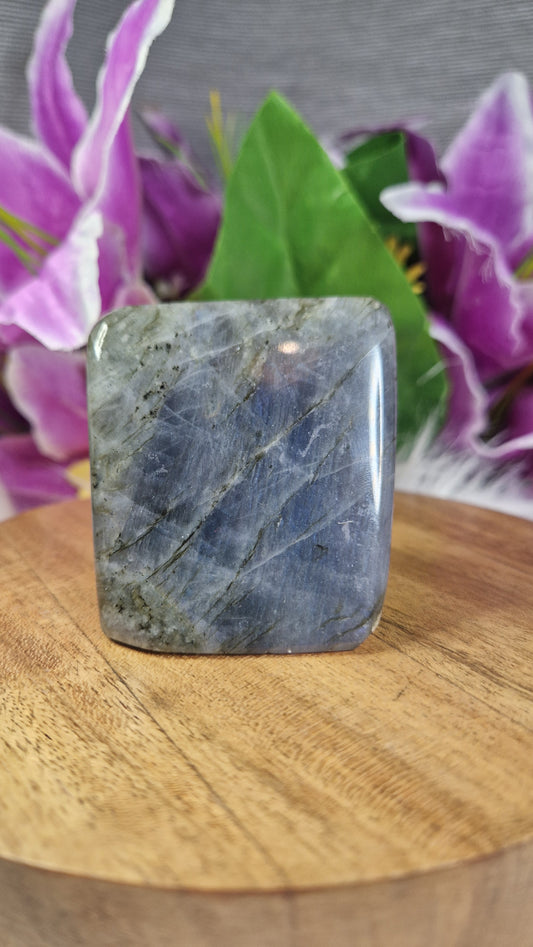 Labradorite Free Form - 36