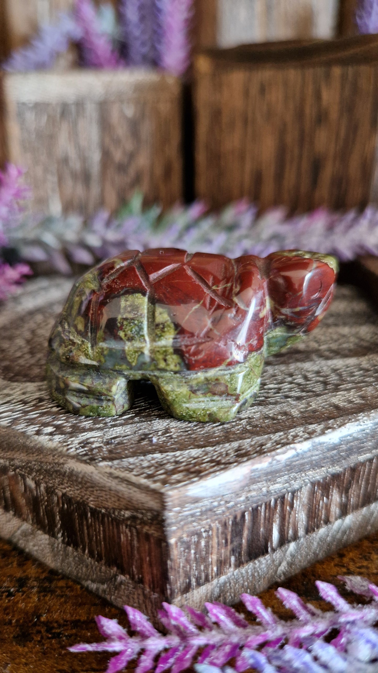 Dragon's Blood Turtle