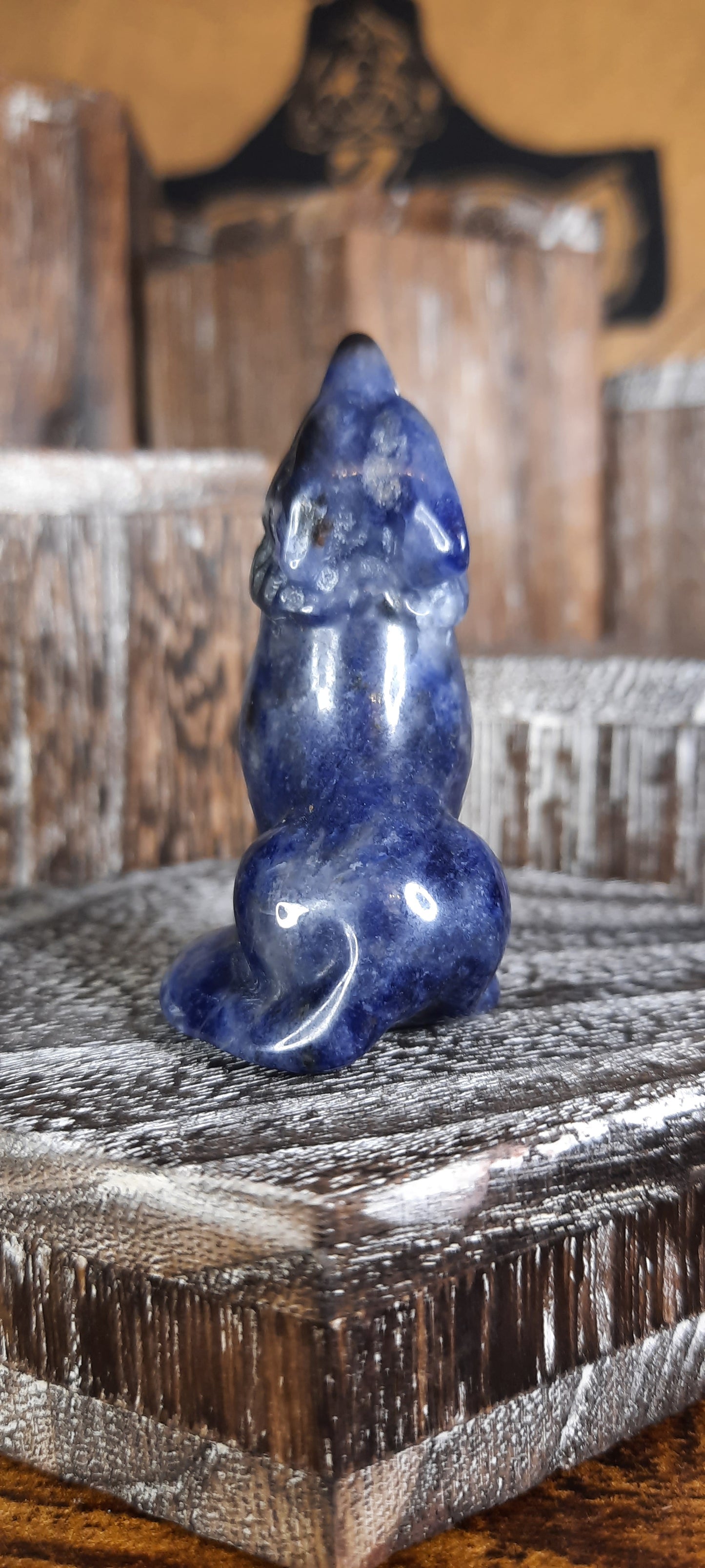 Sodalite Wolf - 8