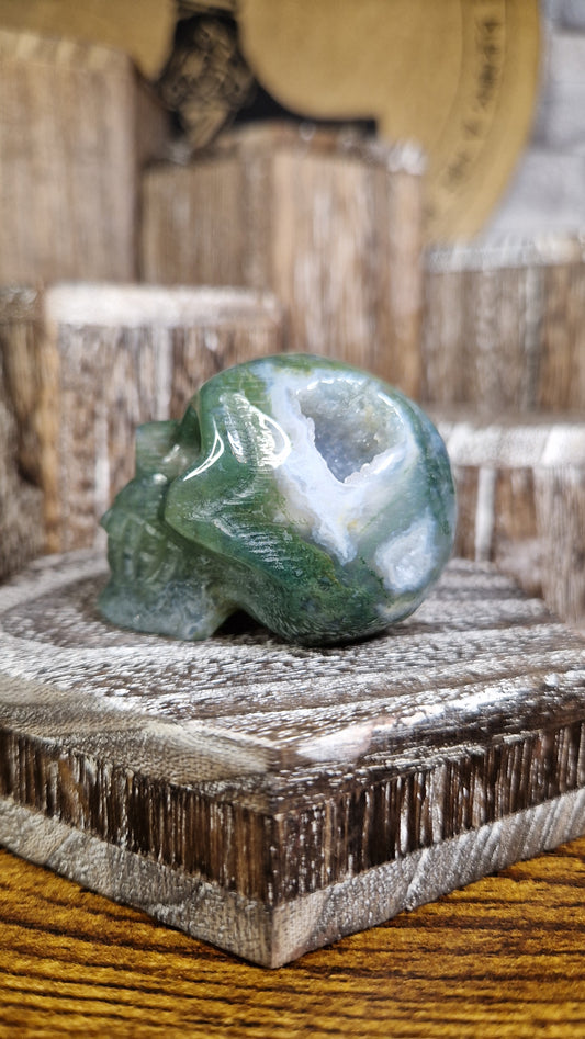 Moss Agate Skull - 18