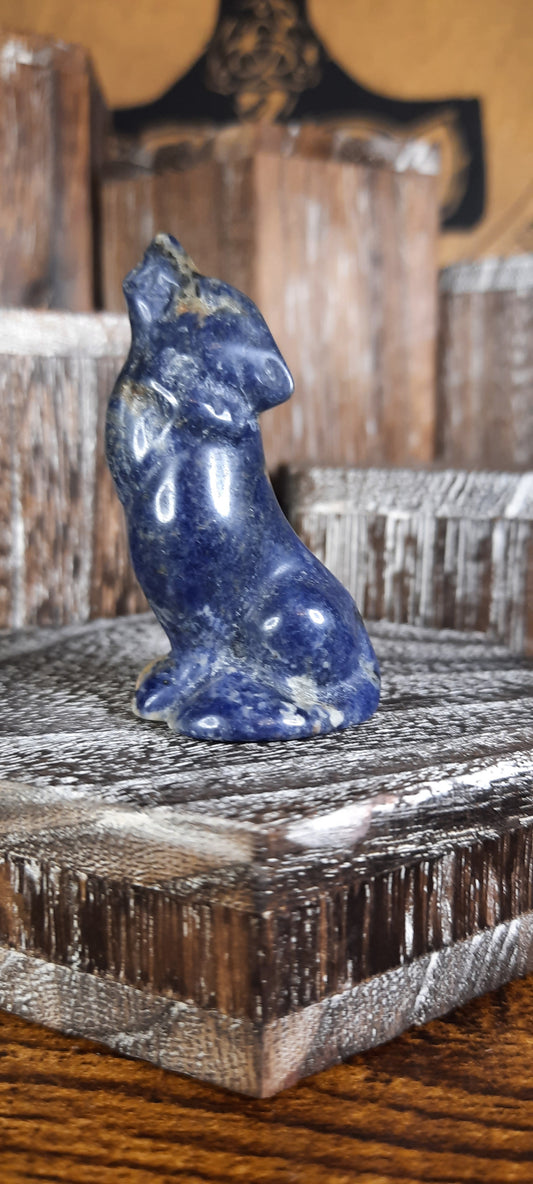 Sodalite Wolf - 7