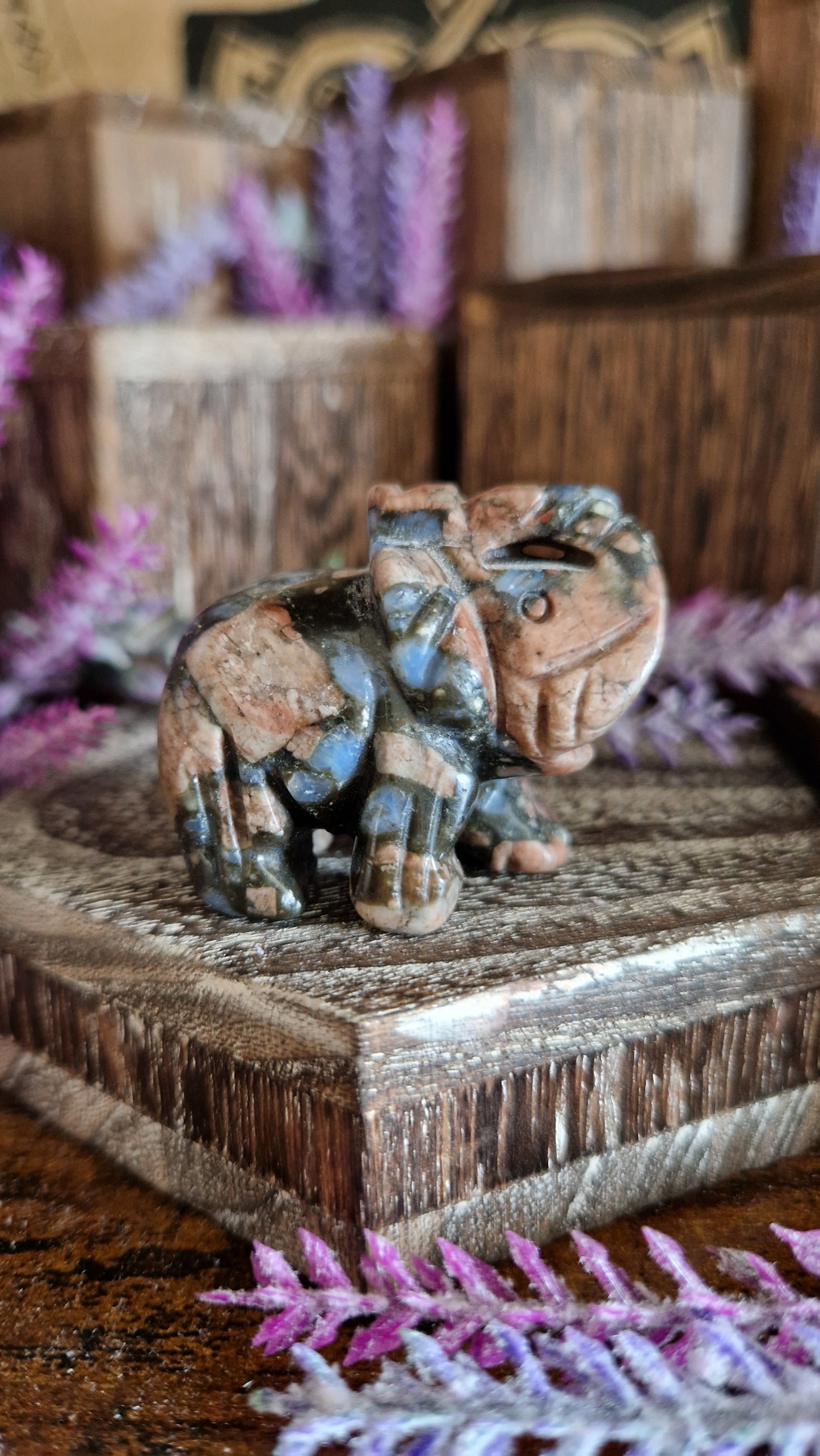 Que Sera Elephant