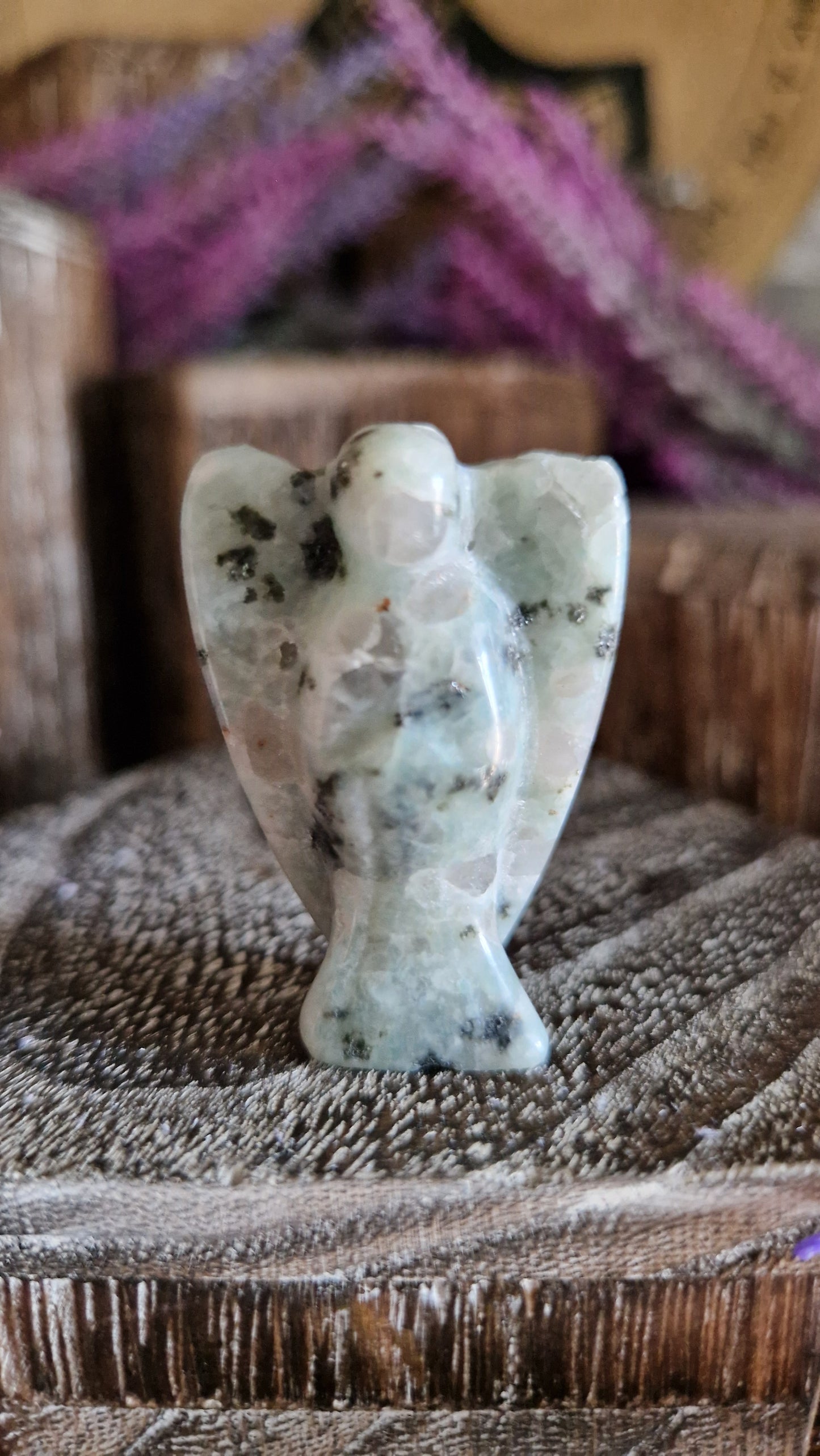 Kiwi Jasper Angel - 29