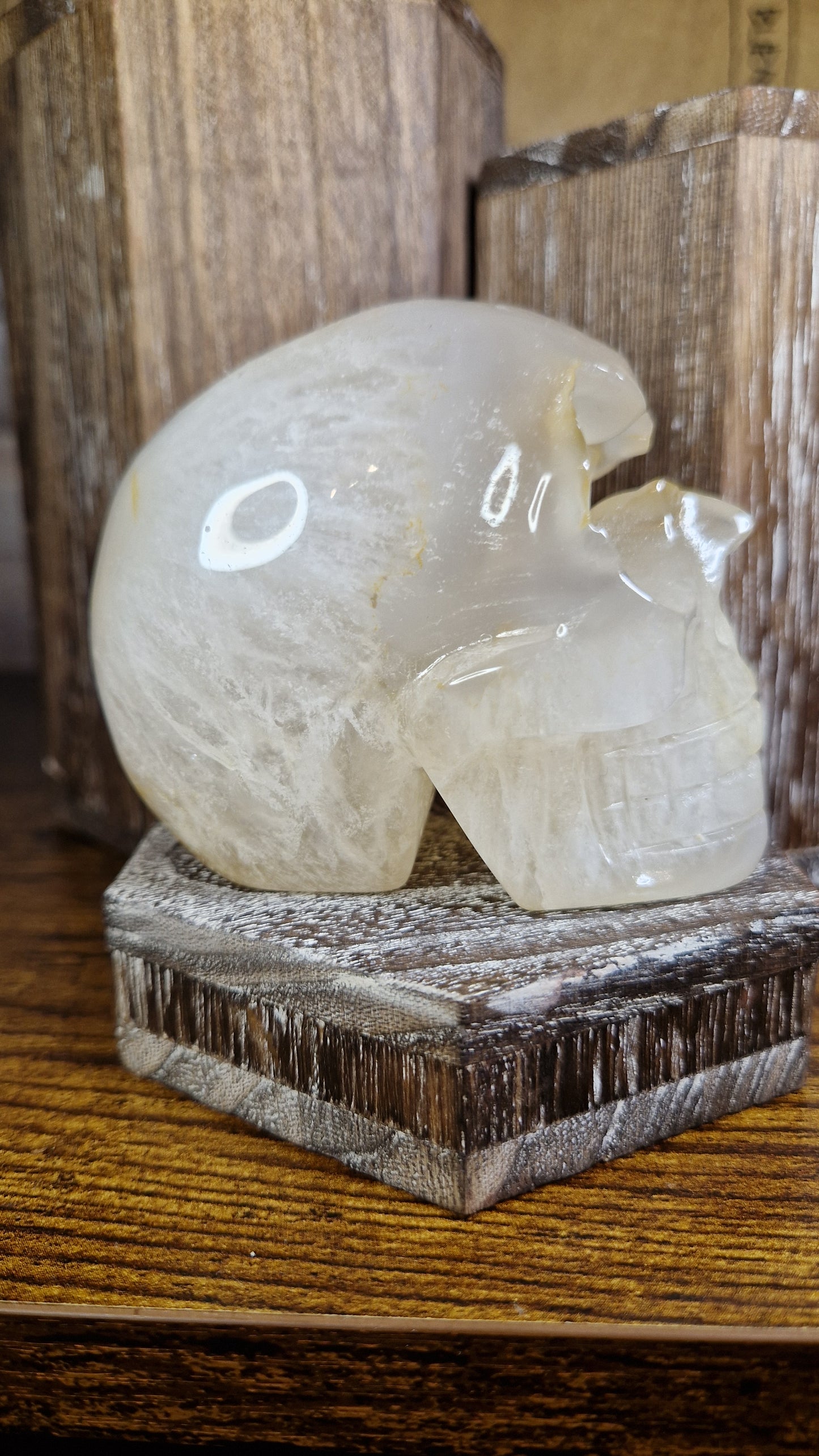 Clear Quartz with Golden Healer Skull - 7