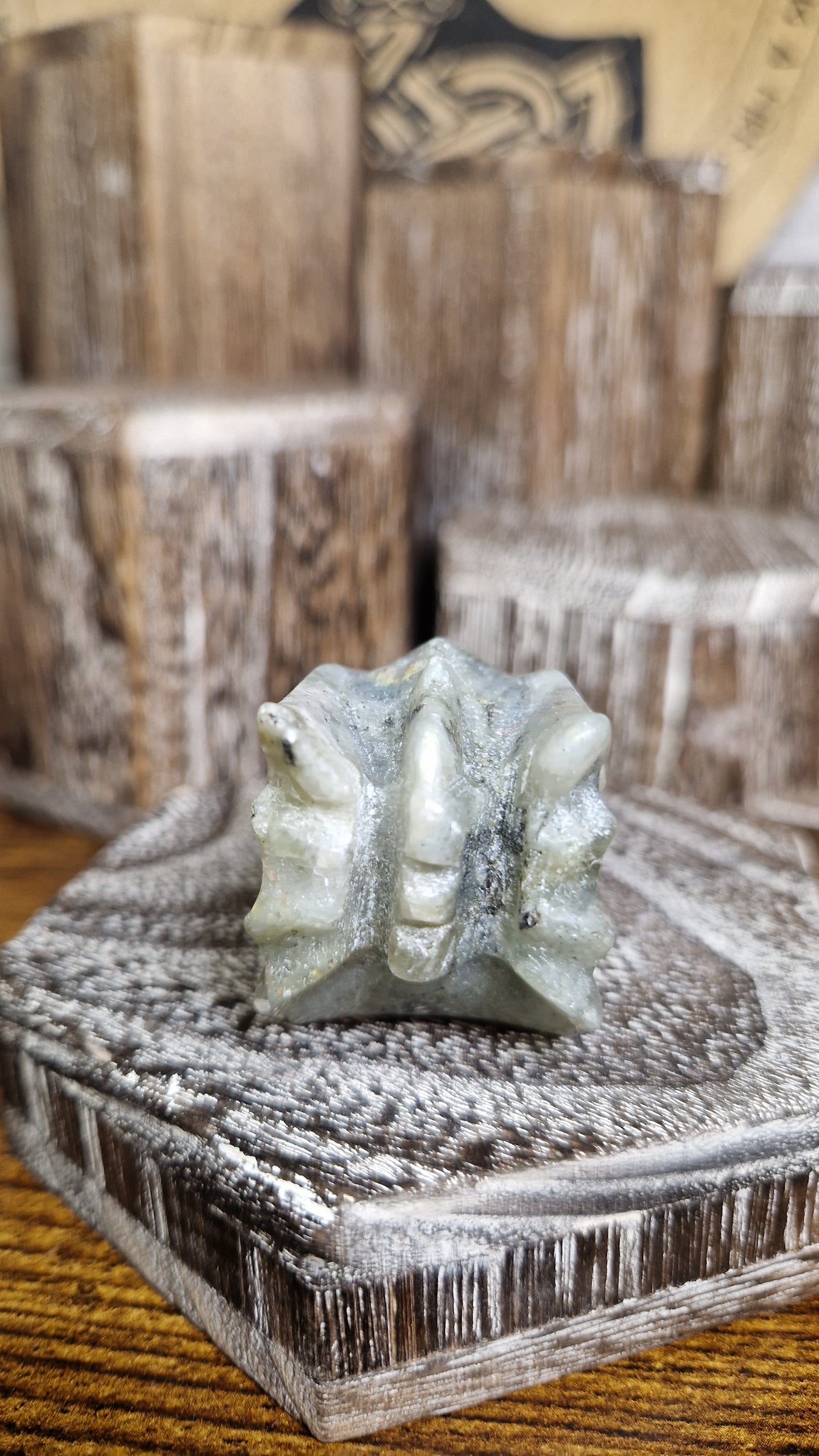Labradorite Dragon's Head - 14
