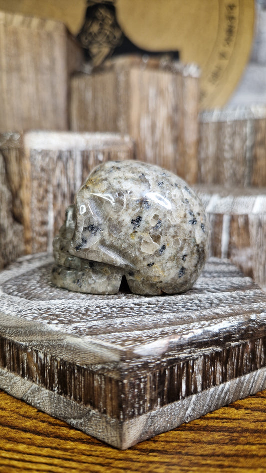 Yooperlite Skull - 19
