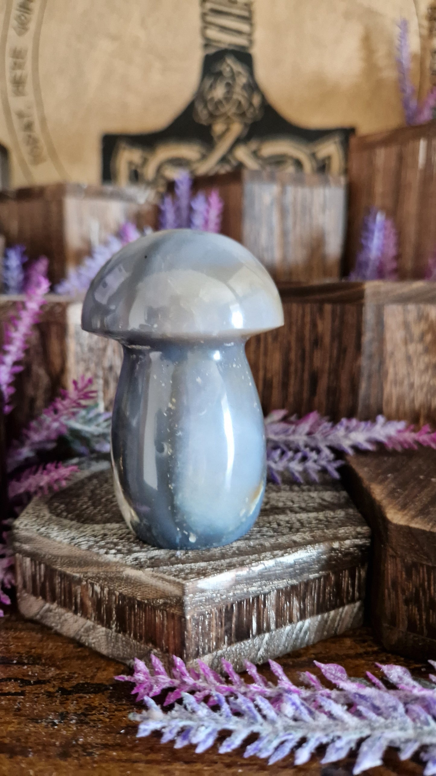 Ocean Jasper Mushroom