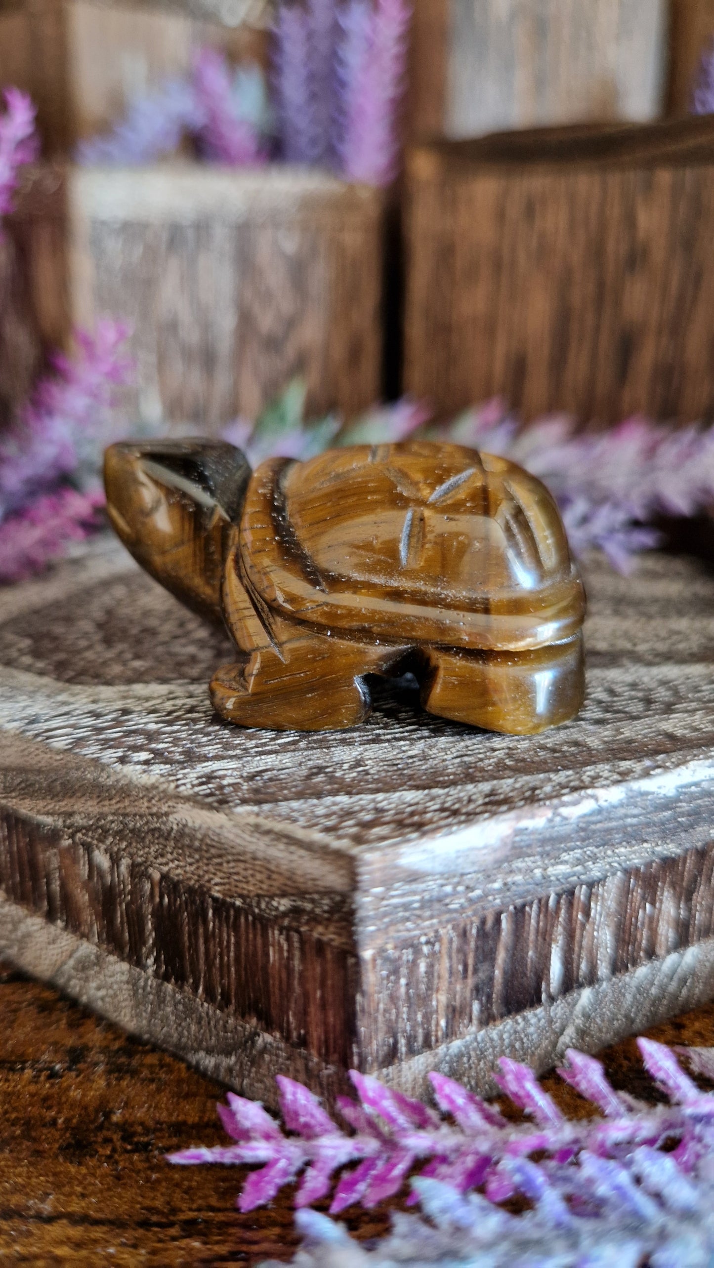 Tiger's Eye Turtle