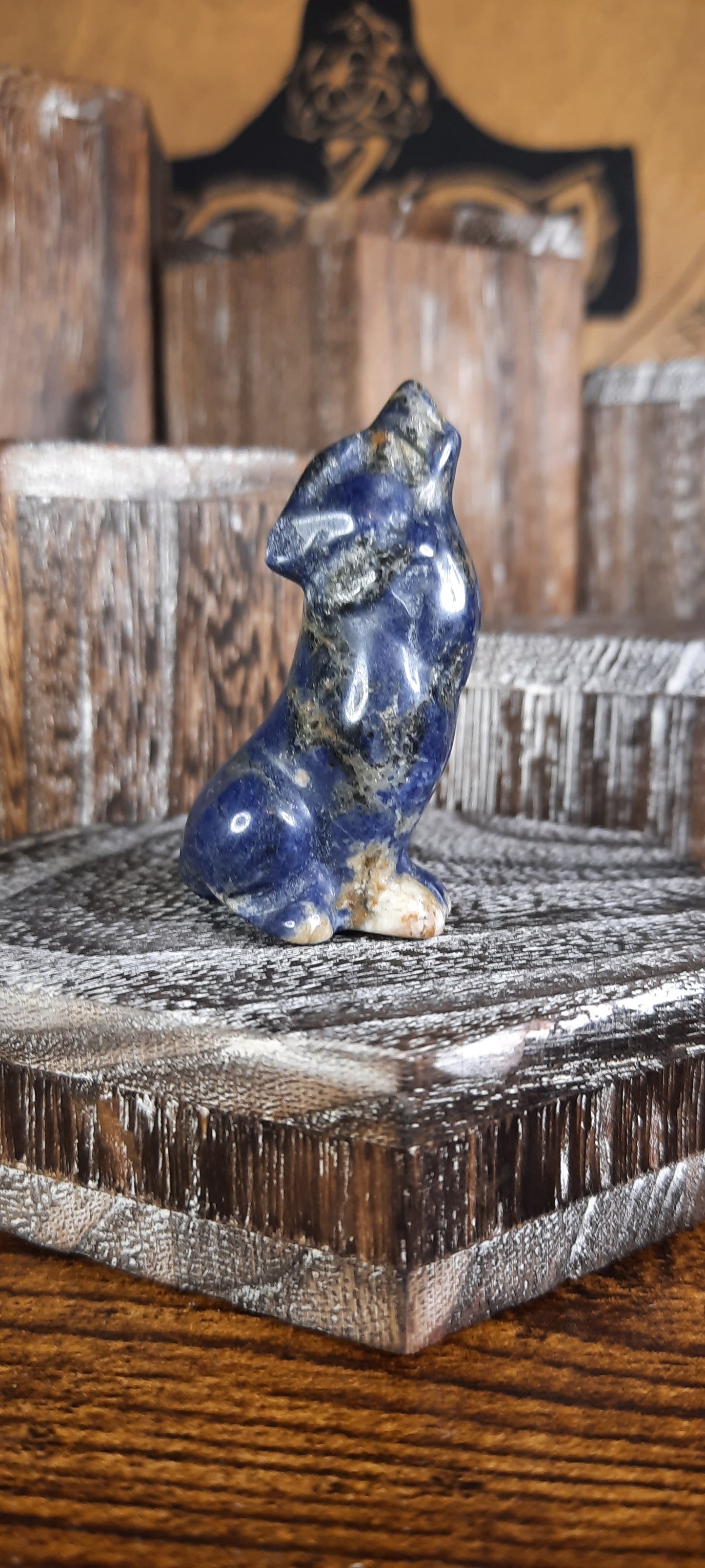Sodalite Wolf - 7