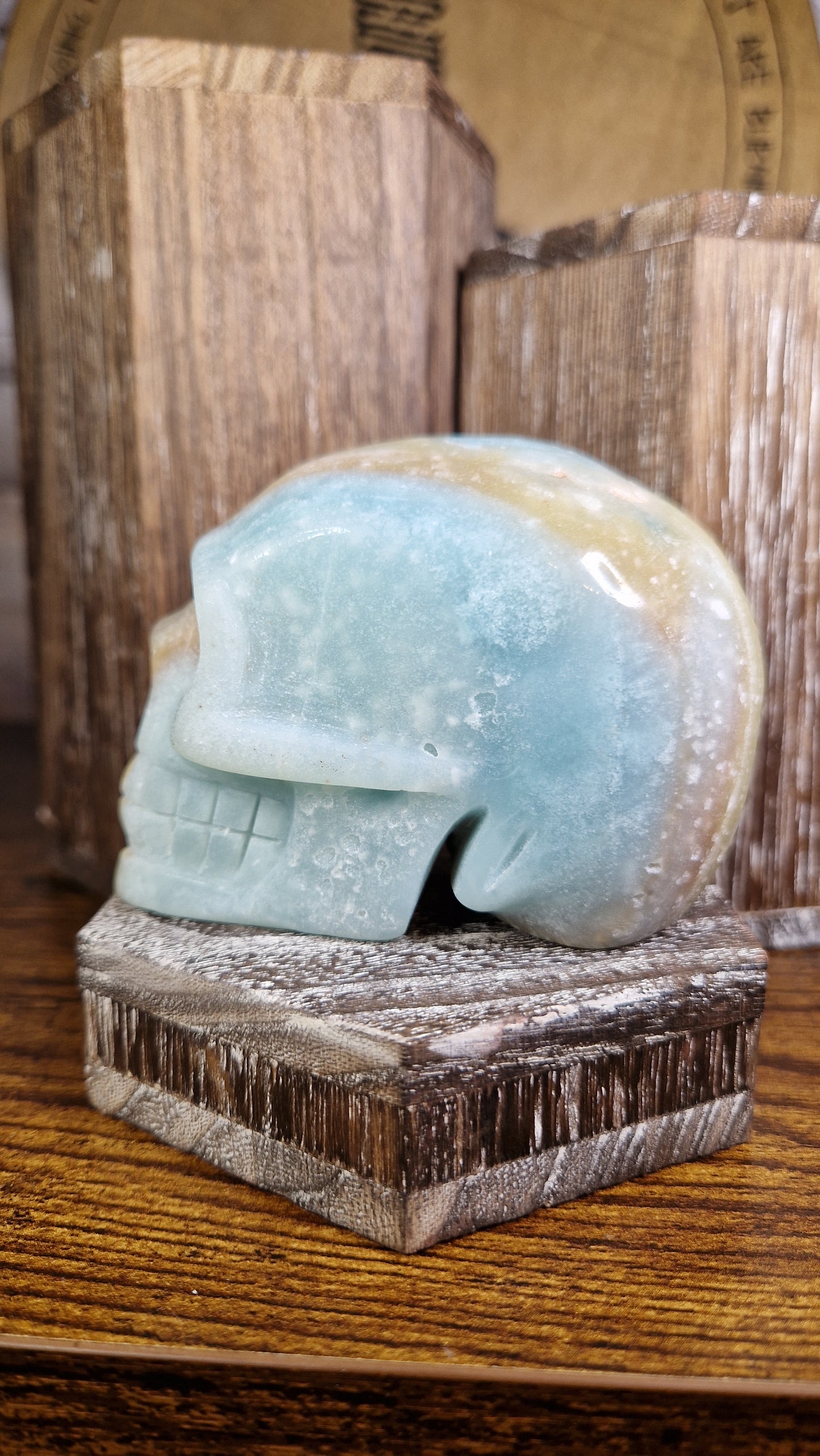 Caribbean Calcite Skull - 6