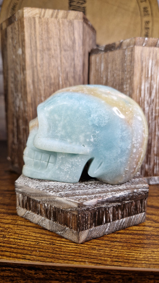 Caribbean Calcite Skull - 6