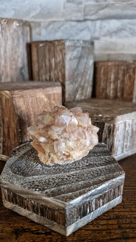 Ami Stalactite  - 238