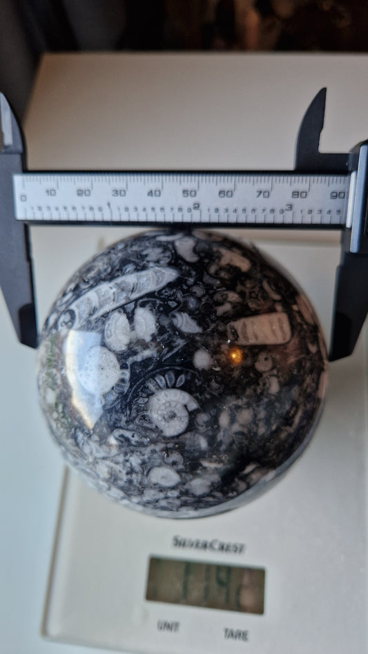 Shell Stone Sphere  - 182