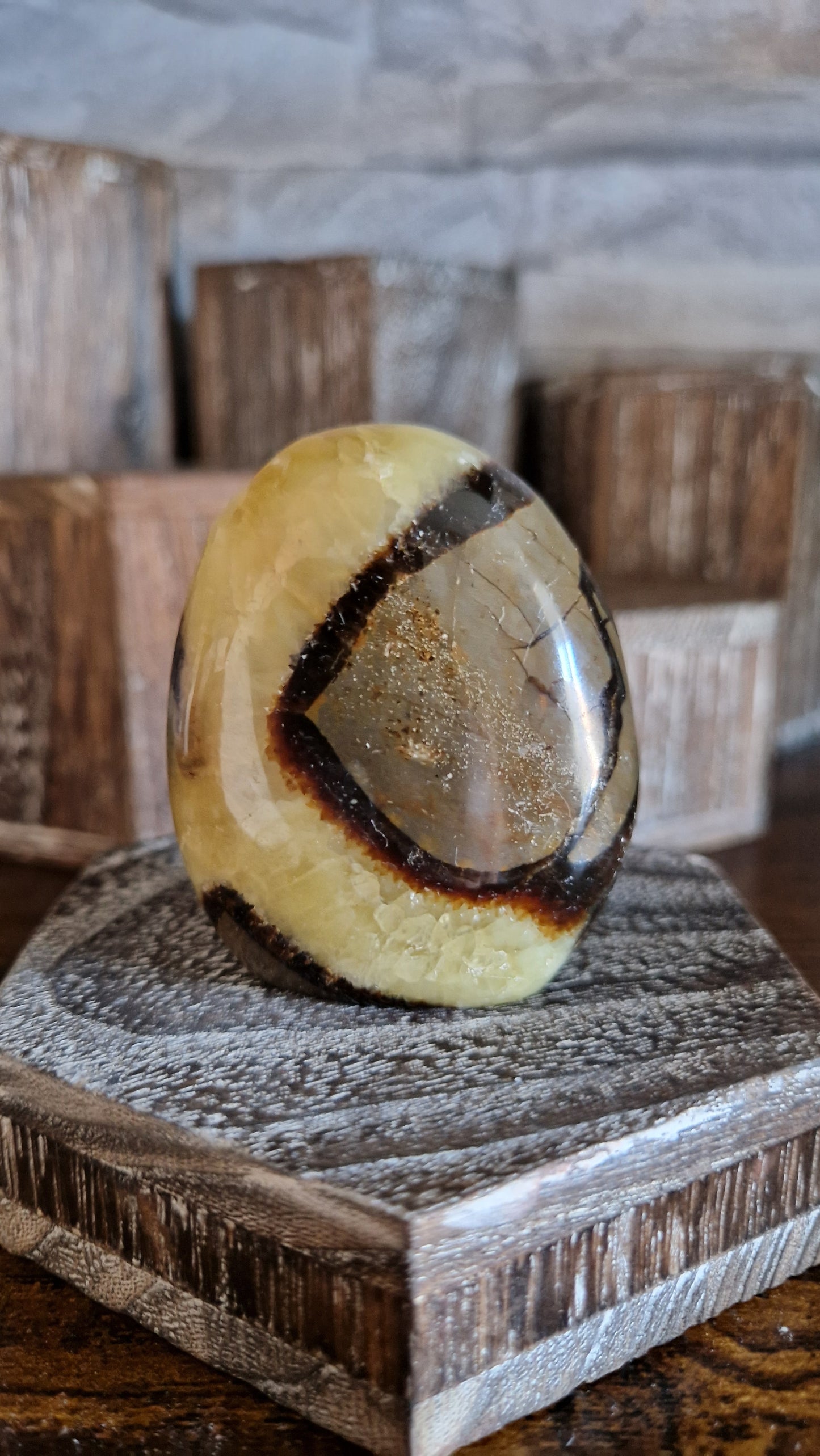 Septarian Free Form  - 246