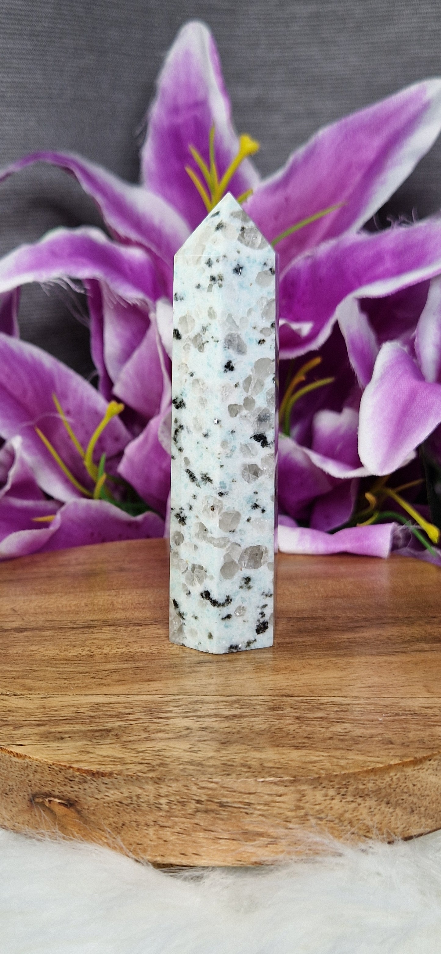 Kiwi Jasper Tower - 95