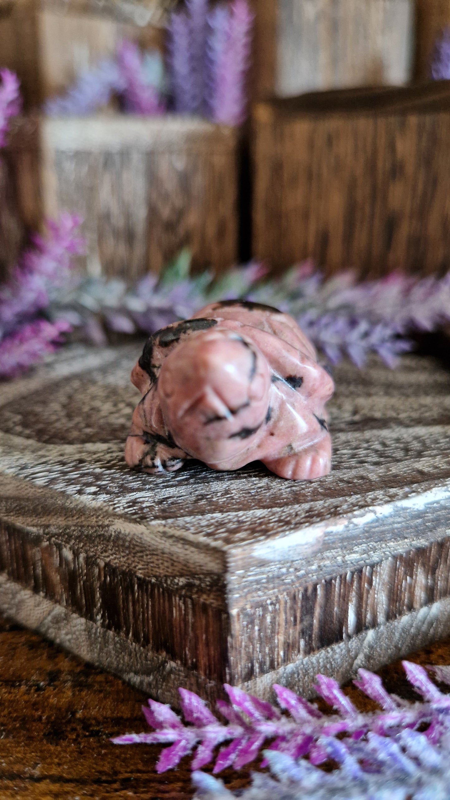 Rhodonite Turtle