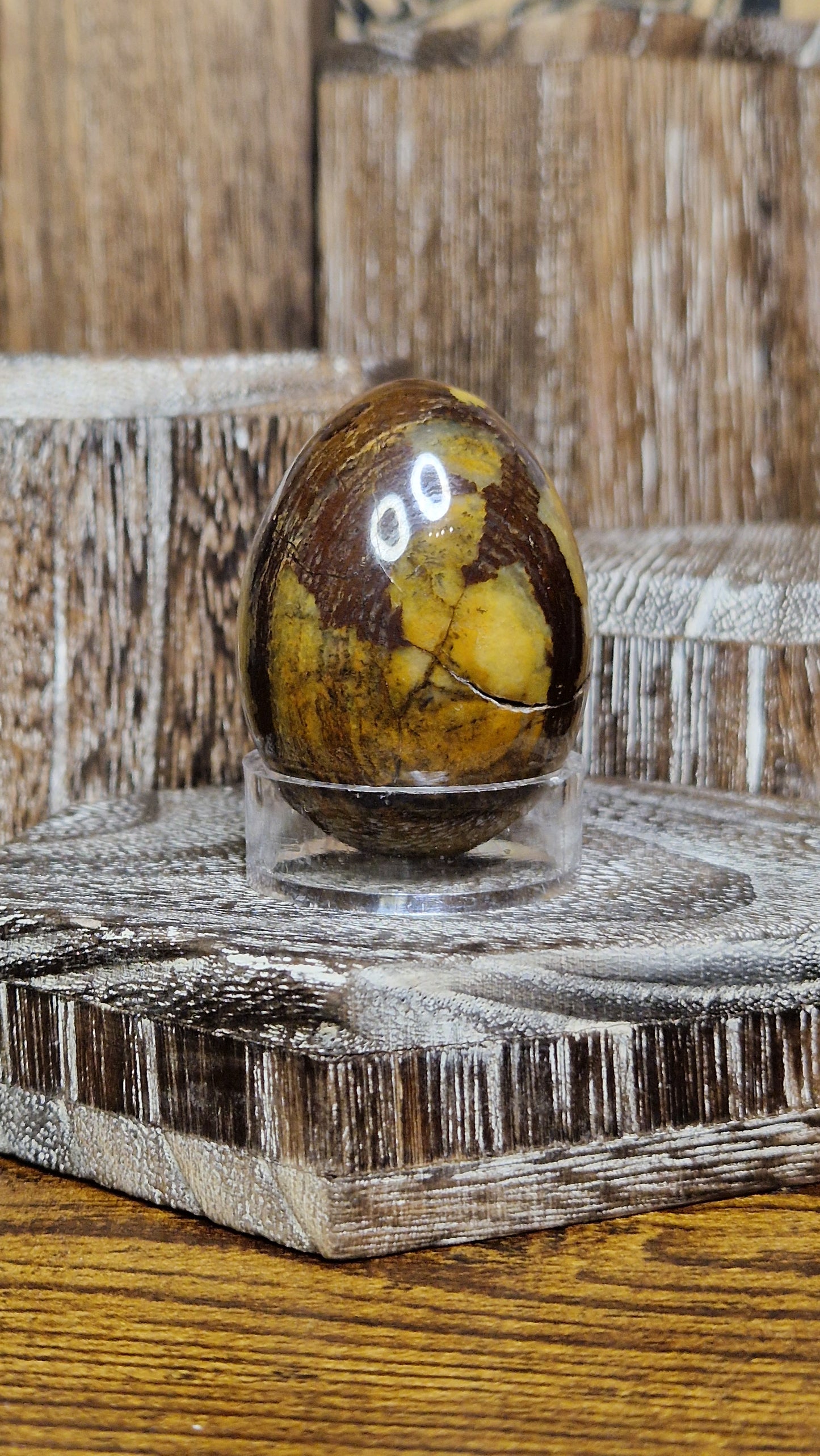 Petrified Wood - 19