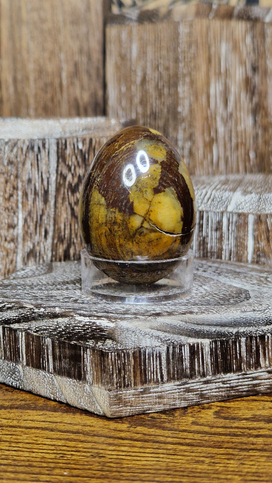 Petrified Wood - 19
