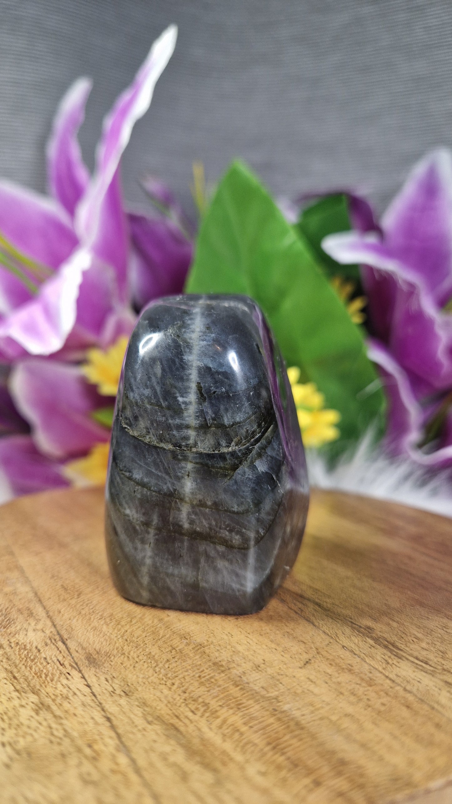 Labradorite Free Form - 9