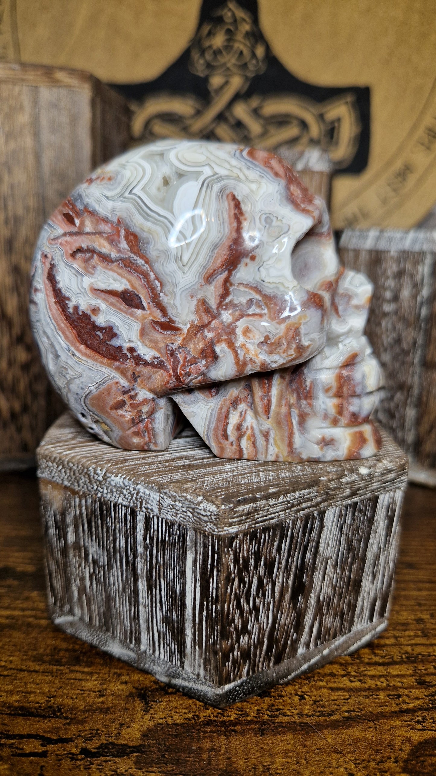 Crazy Lace Agate Skull - 4