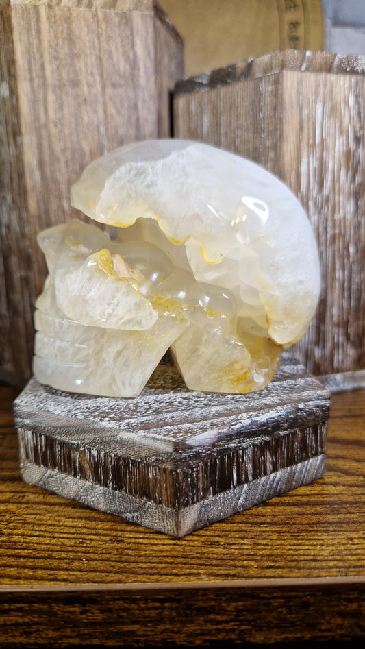 Clear Quartz with Golden Healer Skull - 7