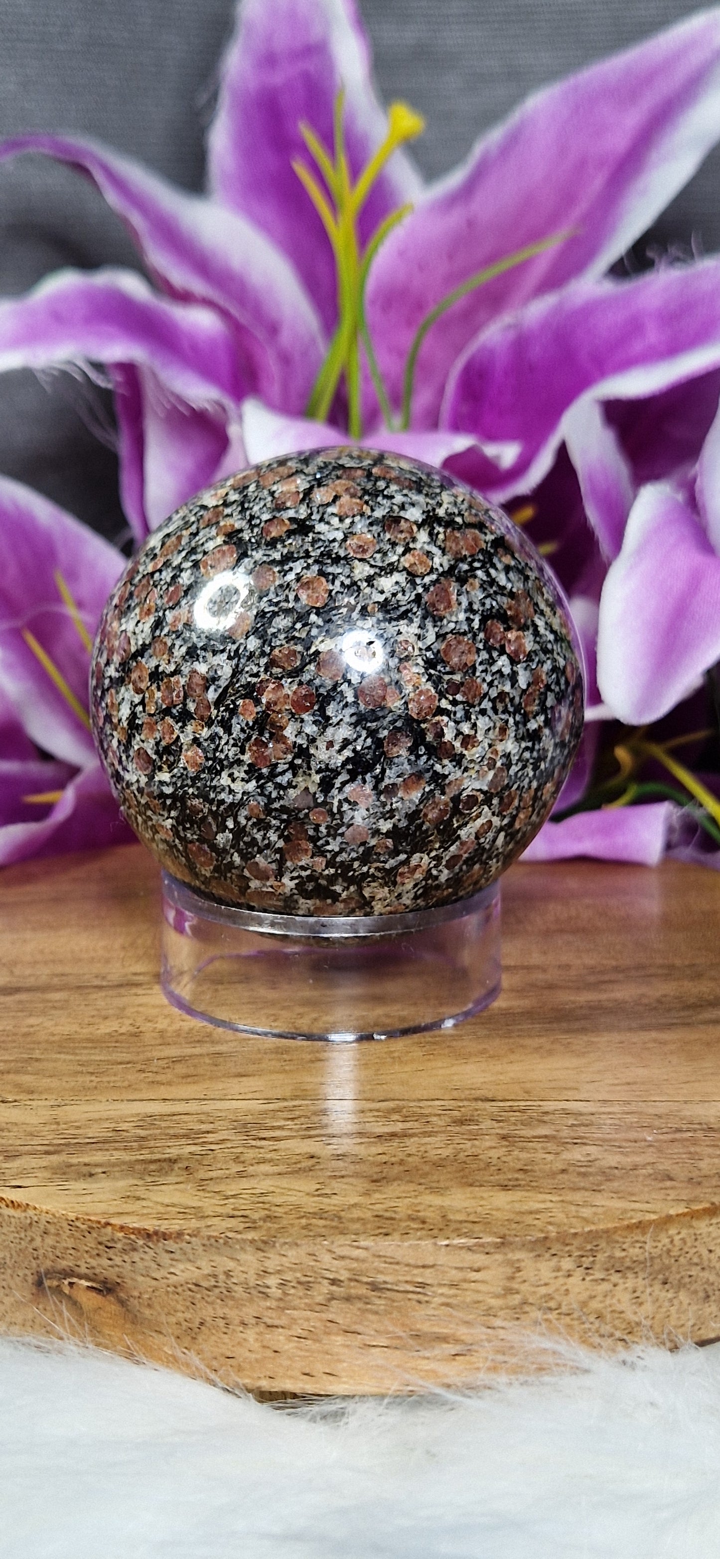Spinal in Matrix Sphere - 30 *