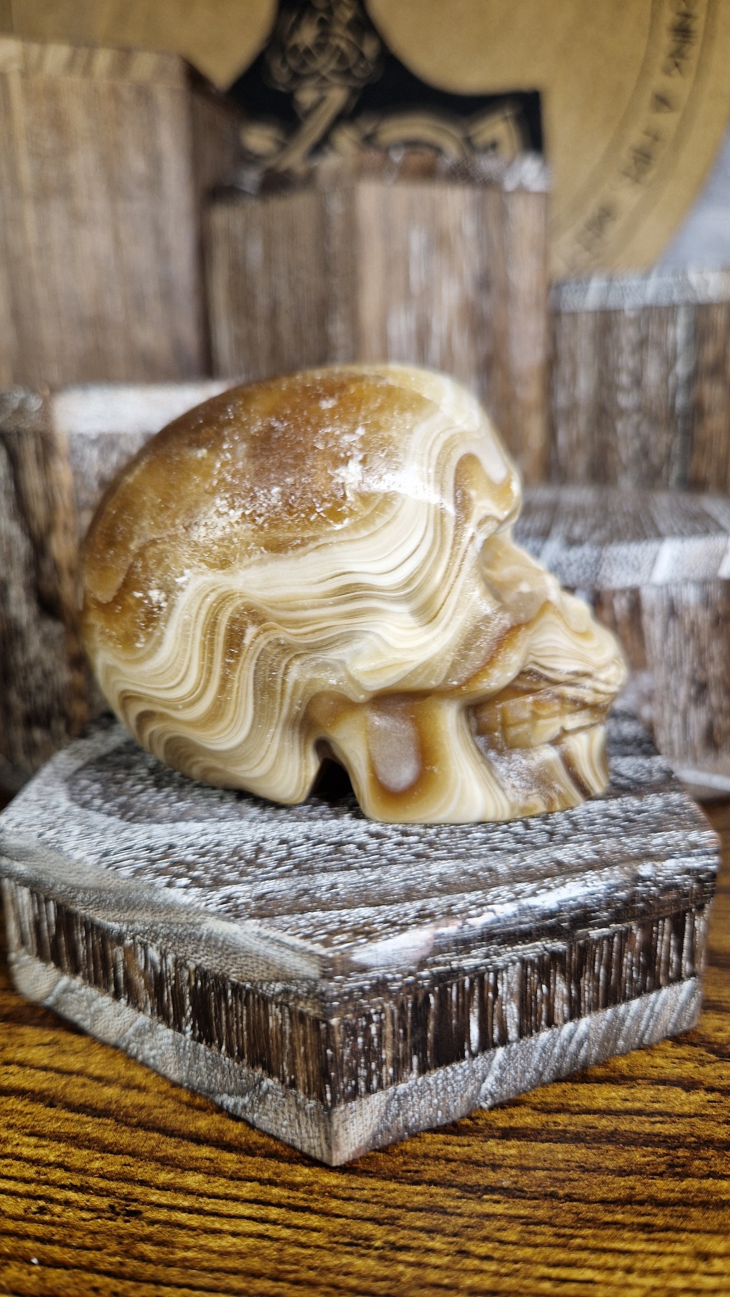 Chocolate Calcite Skull - 12