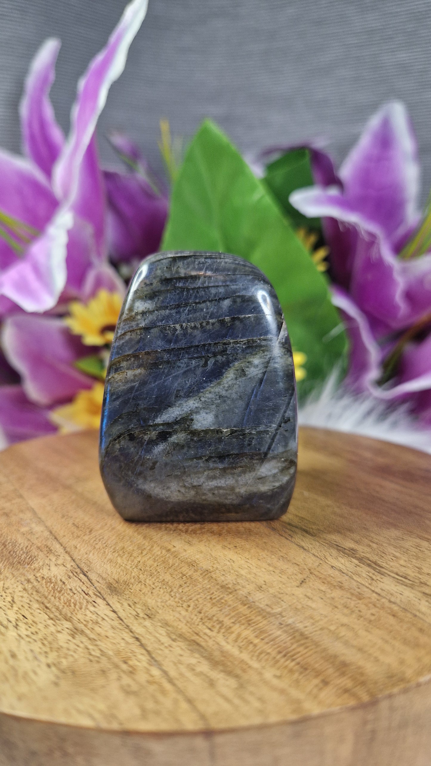 Labradorite Free Form - 9