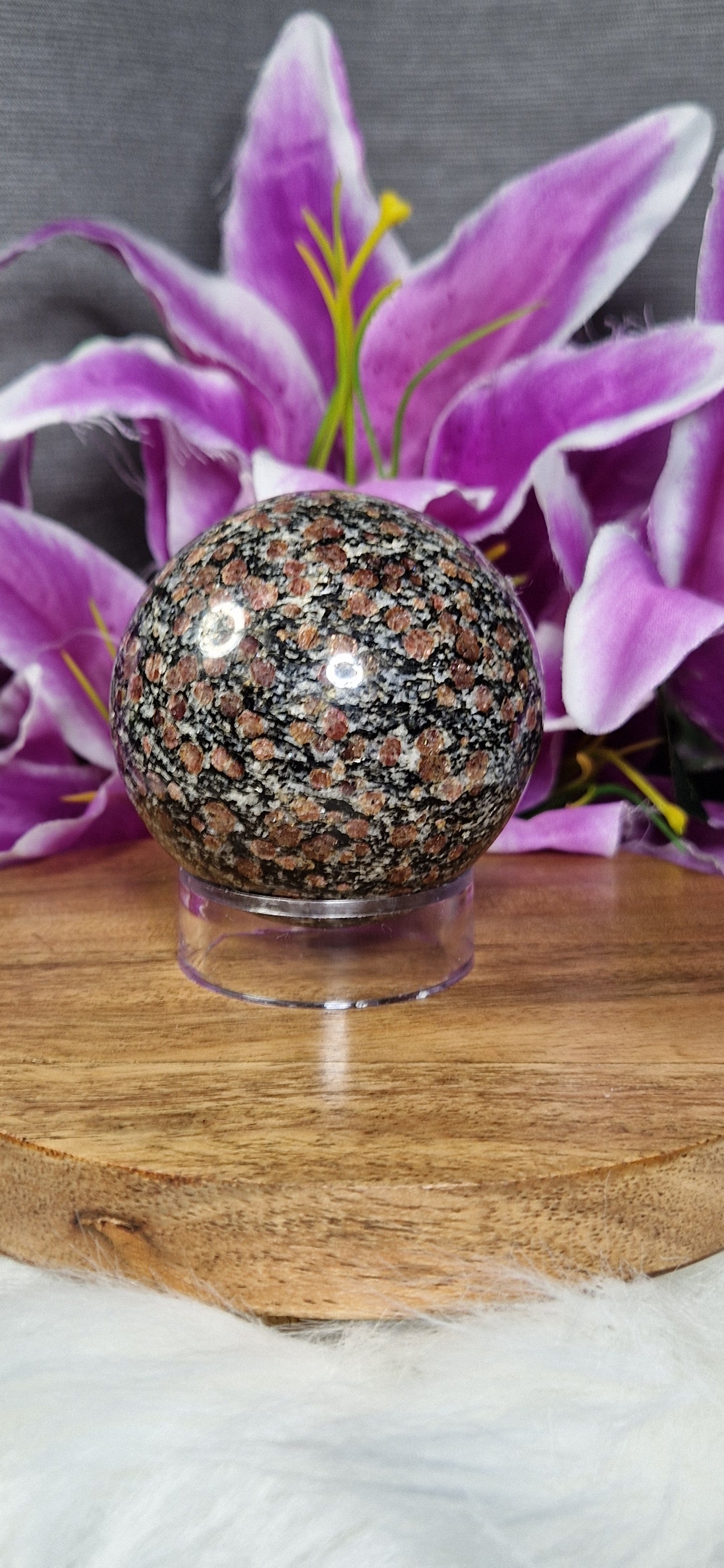 Spinal in Matrix Sphere - 30 *