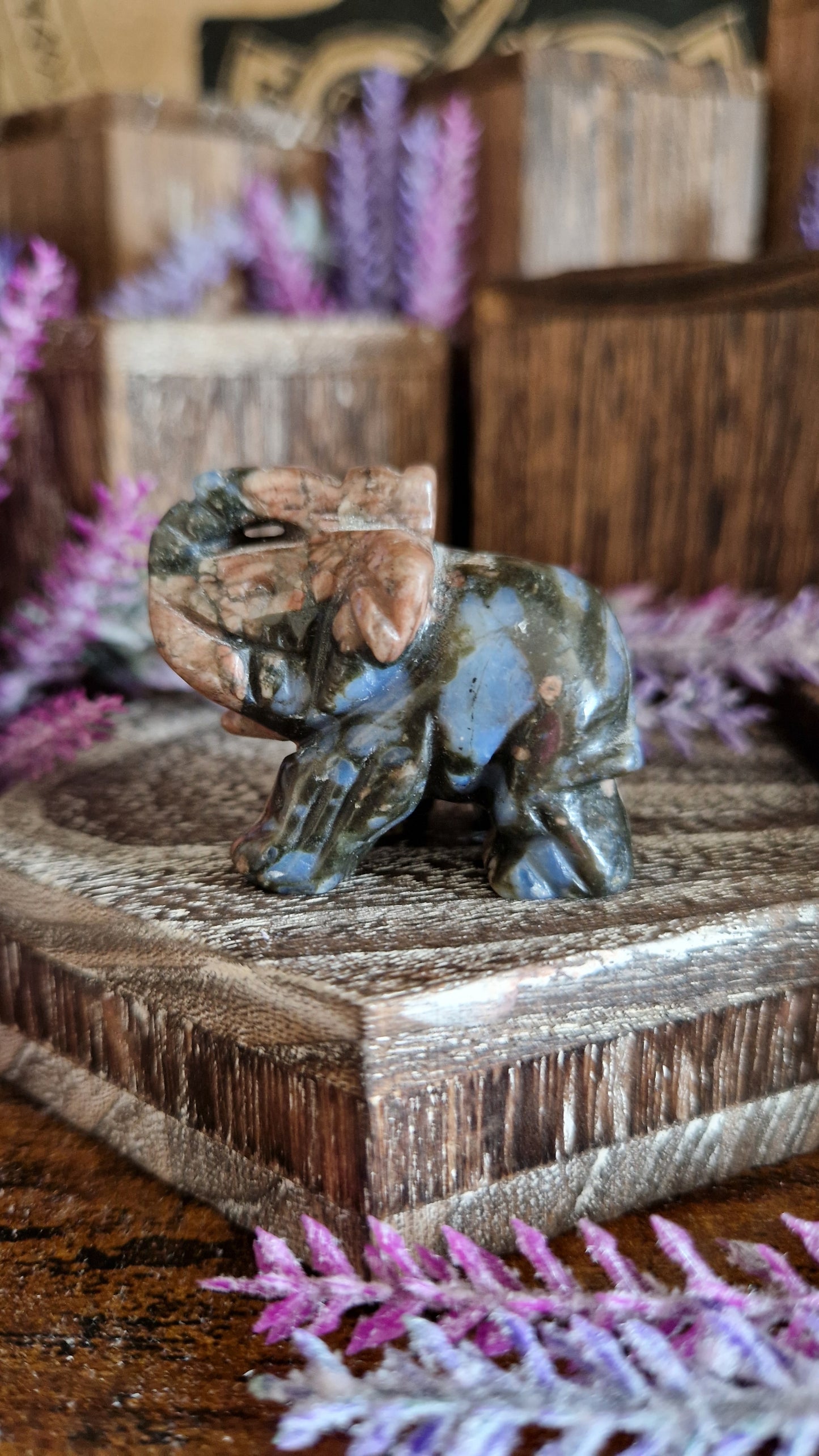 Que Sera Elephant