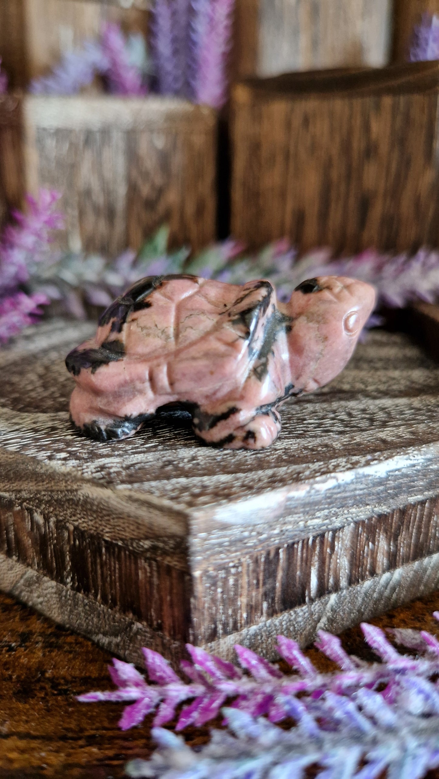 Rhodonite Turtle