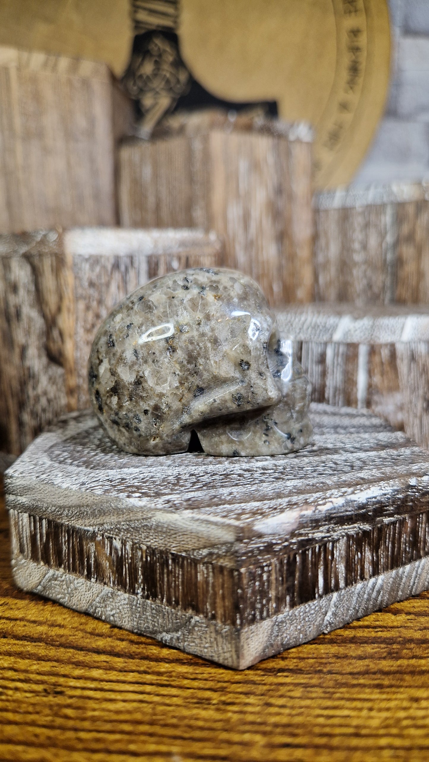 Yooperlite Skull - 19