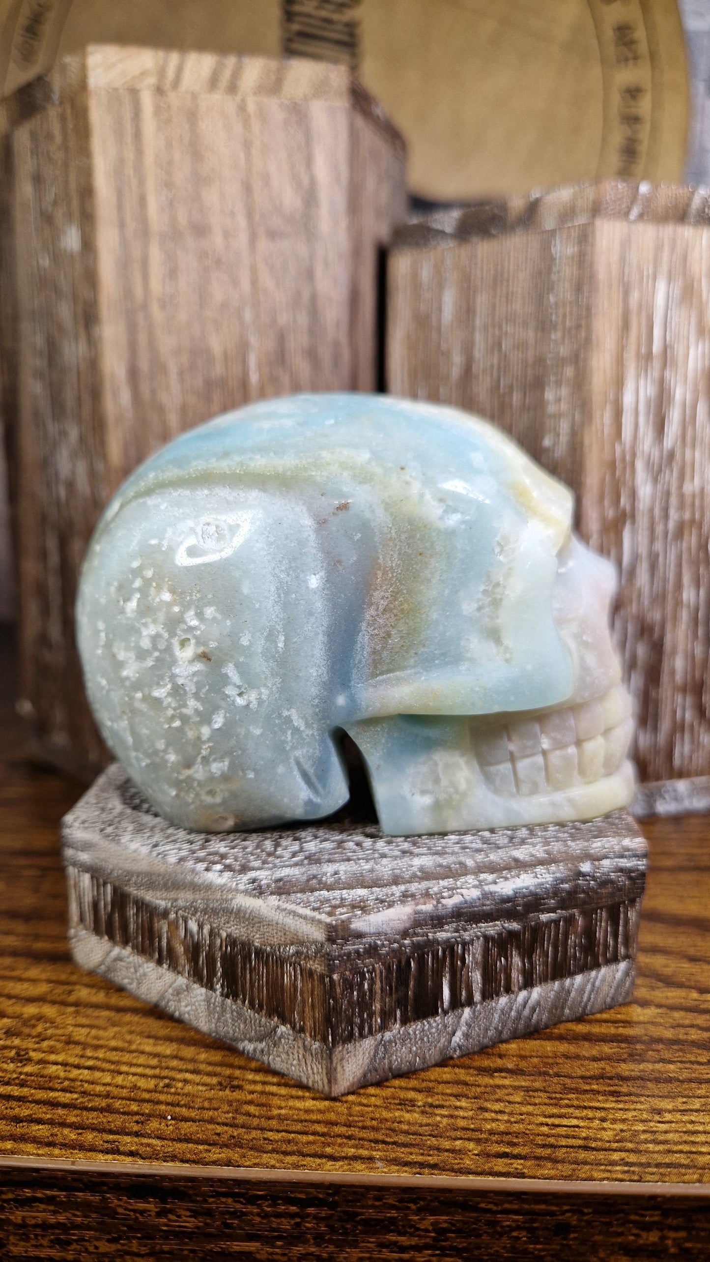 Caribbean Calcite Skull - 6