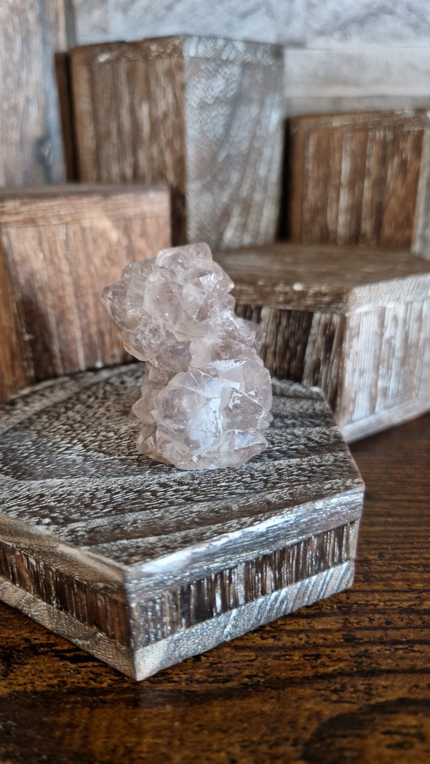 Ami Stalactite  - 239