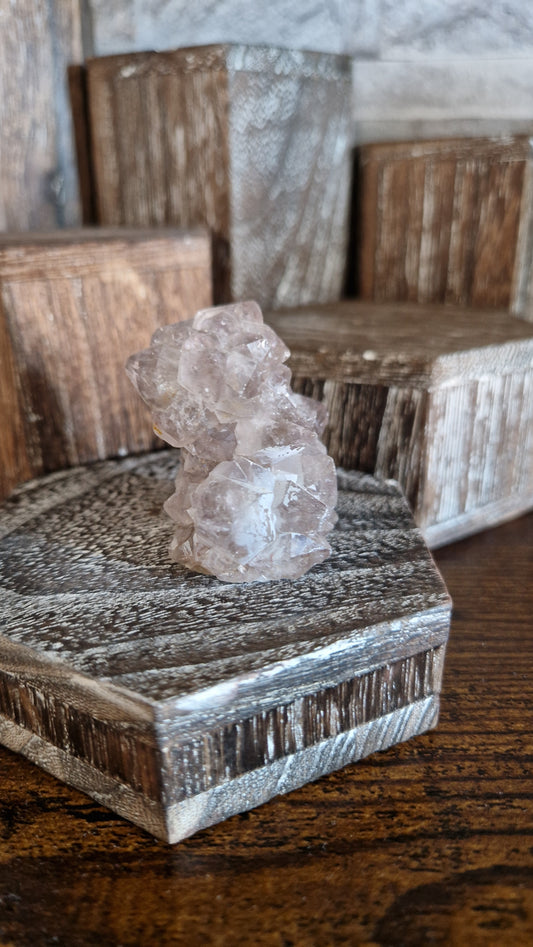 Ami Stalactite  - 239