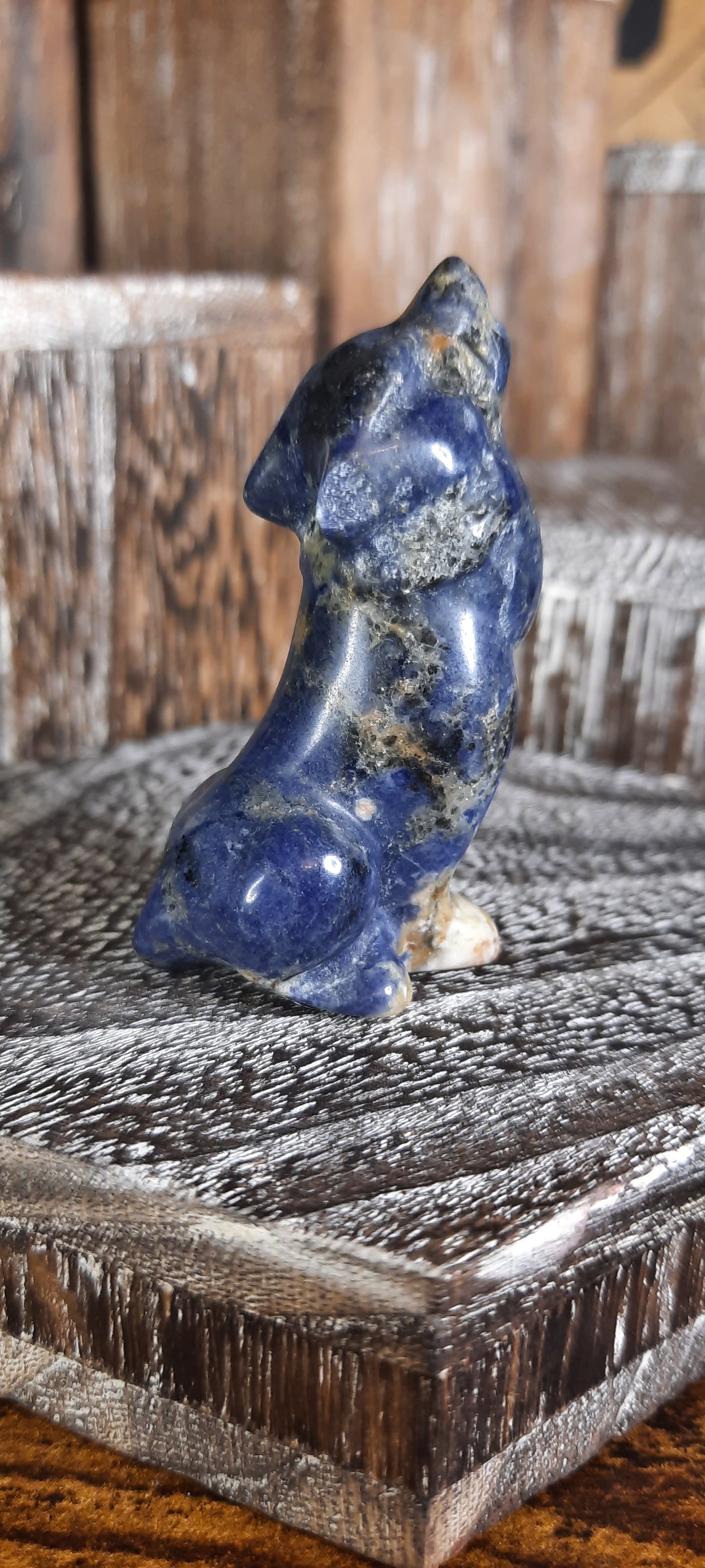 Sodalite Wolf - 7