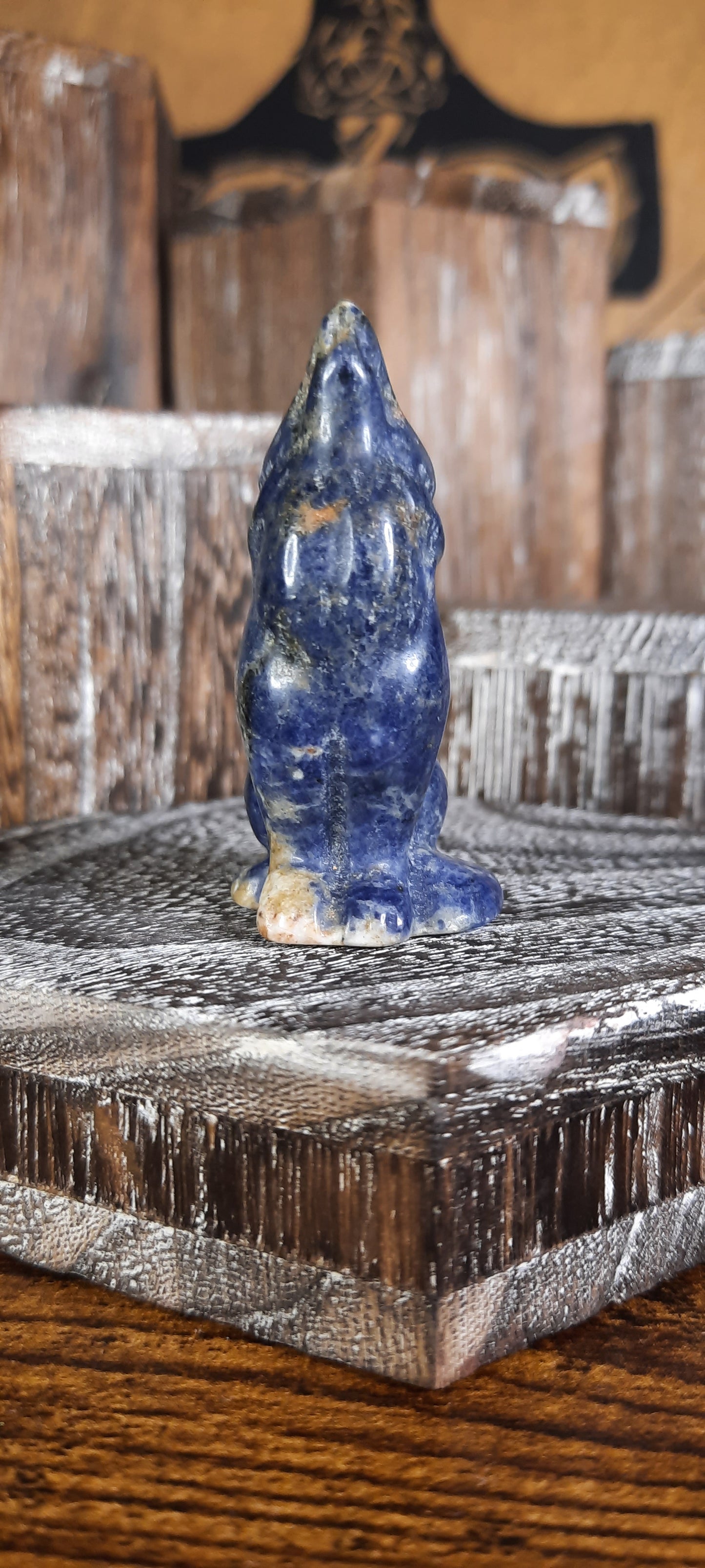 Sodalite Wolf - 7