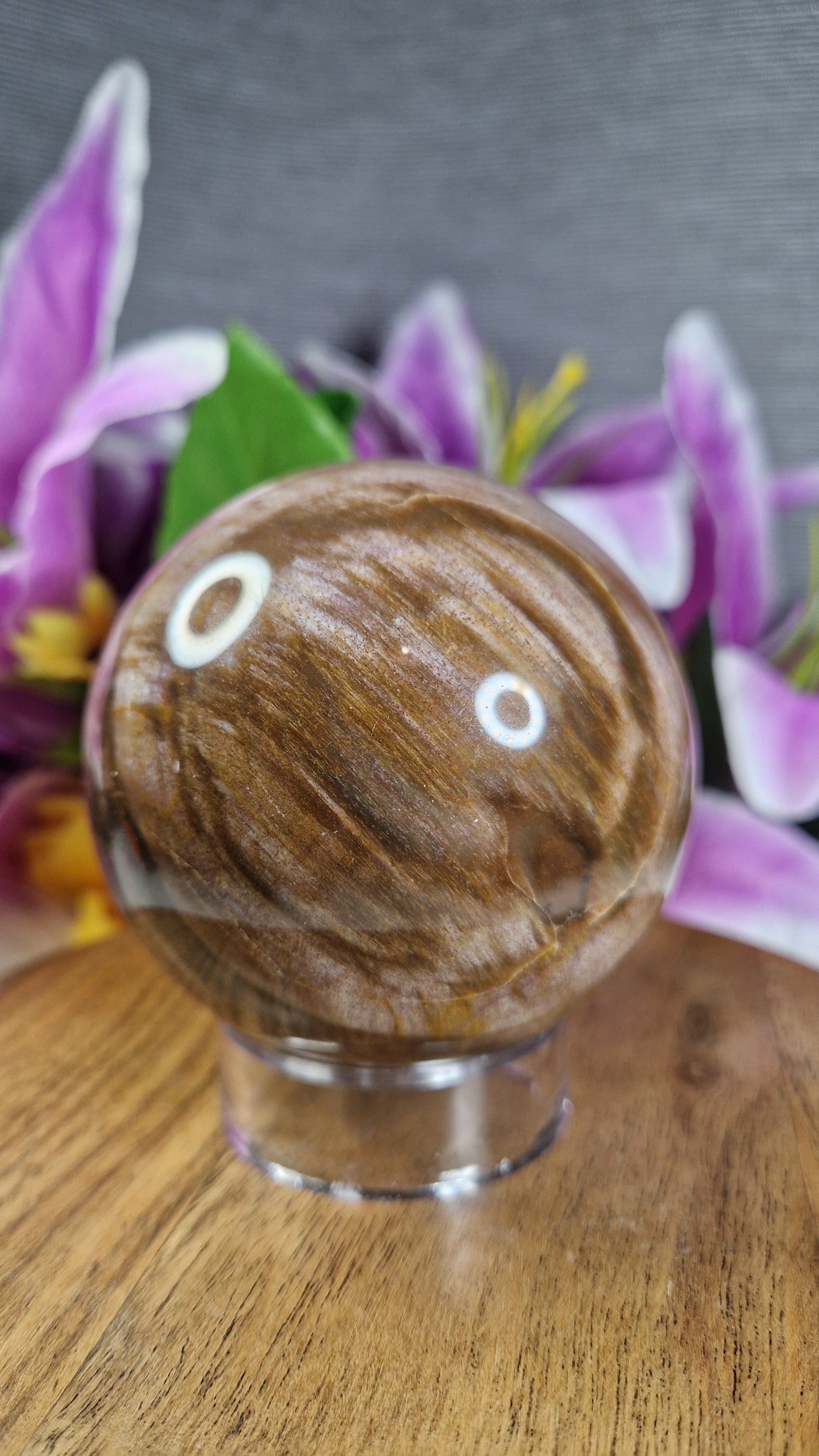 Pietersite Sphere - 503