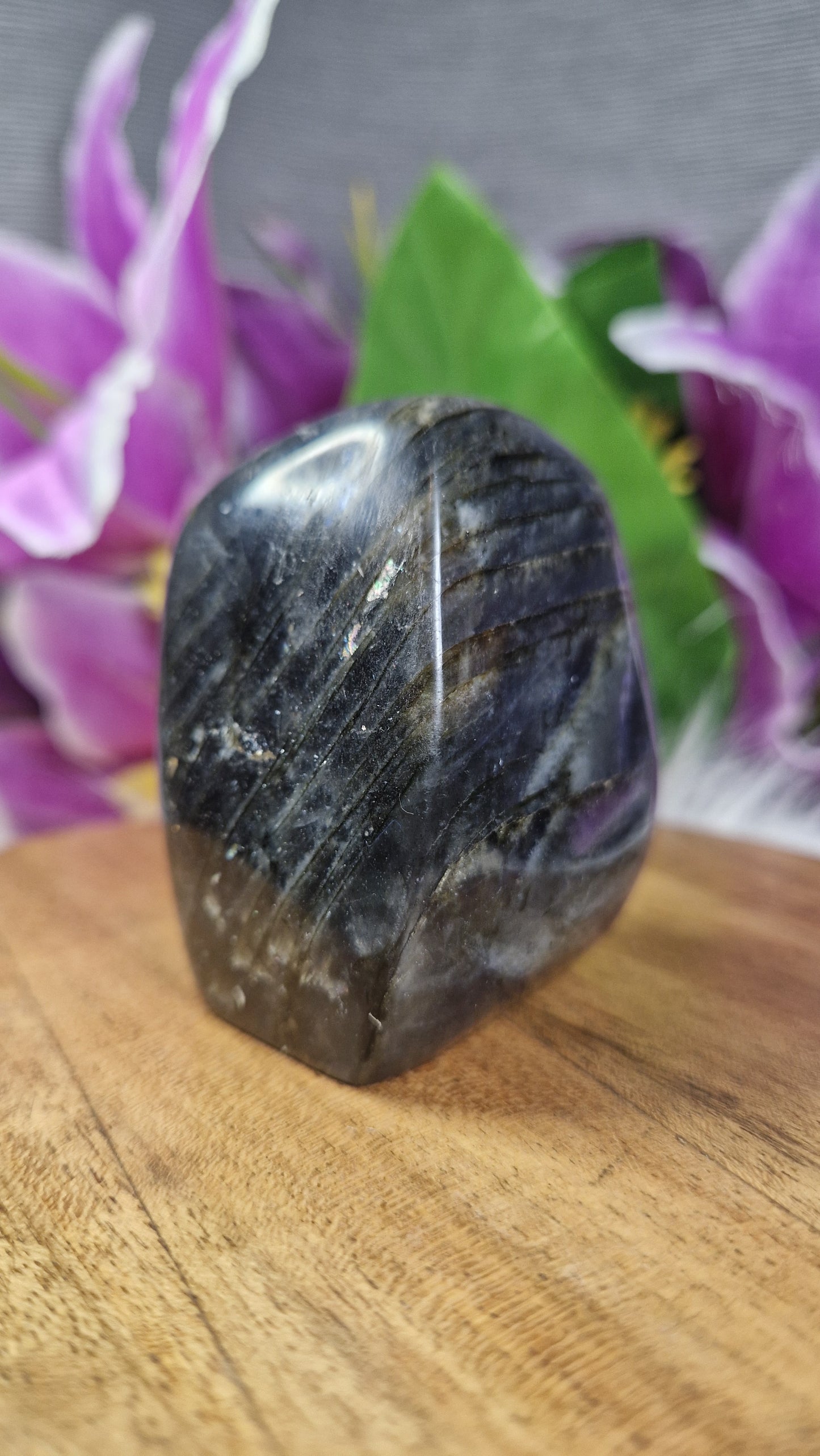 Labradorite Free Form - 9