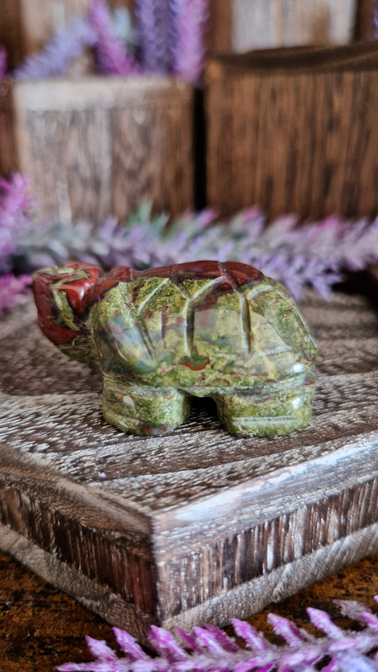 Dragon's Blood Turtle
