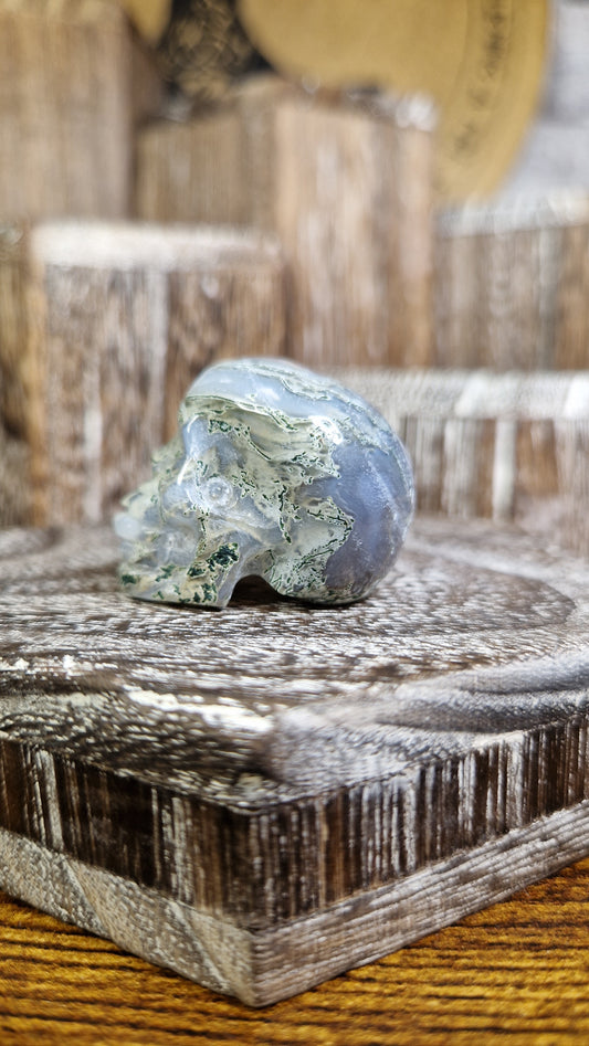 Moss Agate Skull - 28