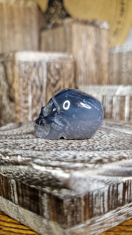 Black Agate Skull - 31