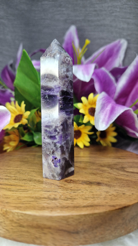Dream Amethyst Tower - 1052
